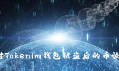 如何应对Tokenim钱包被盗后的币恢复问题？