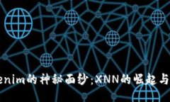 揭开Tokenim的神秘面纱：XNN的崛起与未来潜力
