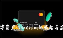 新兴数字资产：Tokenim的崛起与应用前景
