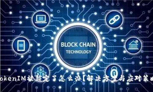 TokenIM被锁定了怎么办？解决方案与应对策略