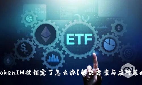 TokenIM被锁定了怎么办？解决方案与应对策略