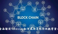 全面解析Tokenim：如何成功导入你的数字货币