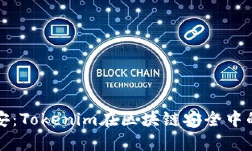 探索北京链安：Tokenim在区块链安全中的革命性作用