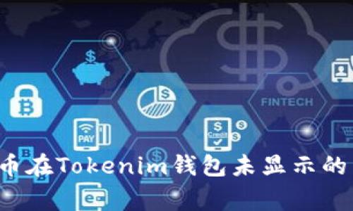 解决FIL币在Tokenim钱包未显示的常见问题
