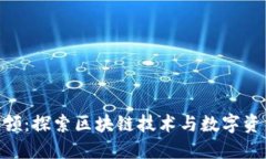 Tokenim领：探索区块链技术与数字资产的未来