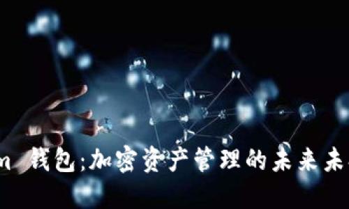  Tokenim 钱包：加密资产管理的未来未打包之路